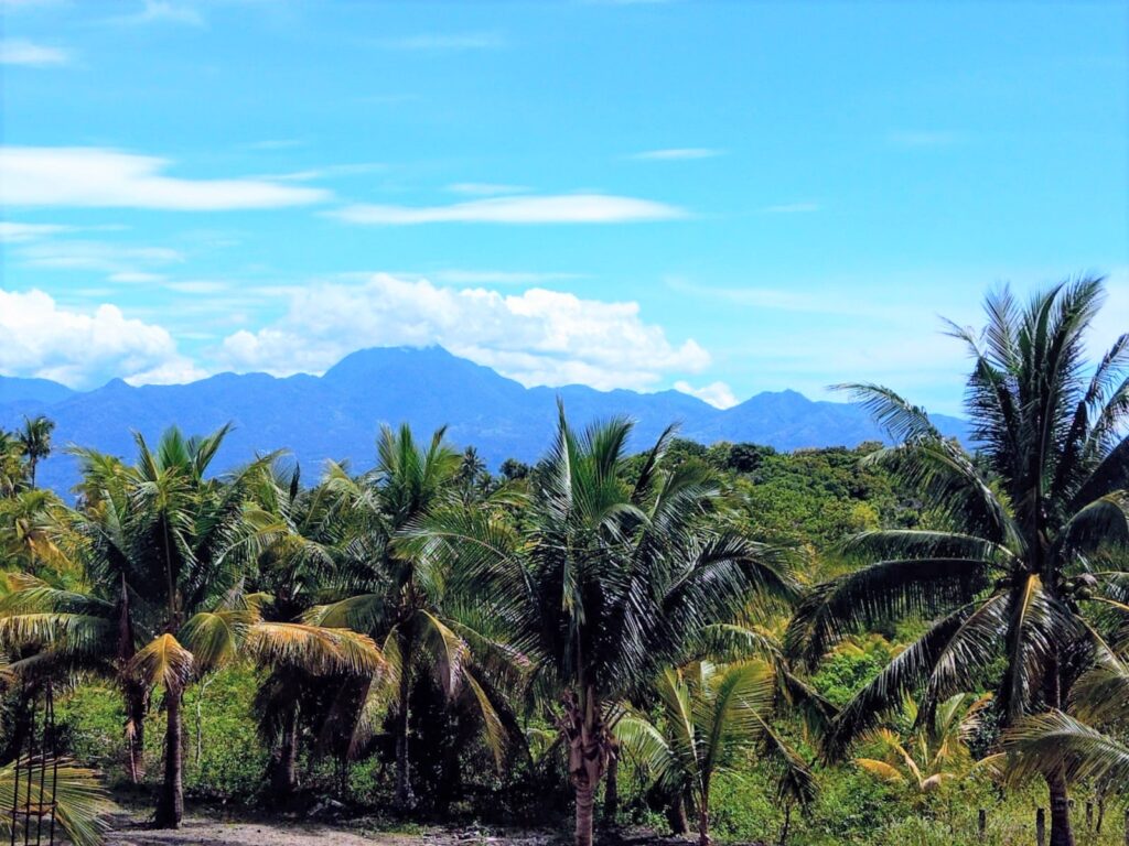  cebu philippines